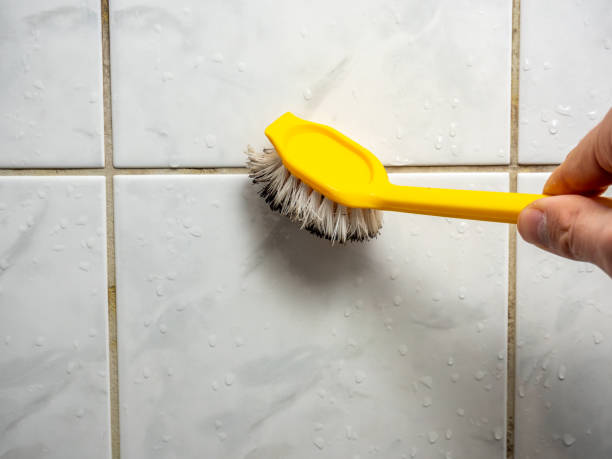 Best Mold Cleaning Services  in Hopatcong, NJ